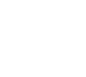 Stripe Payment accepted